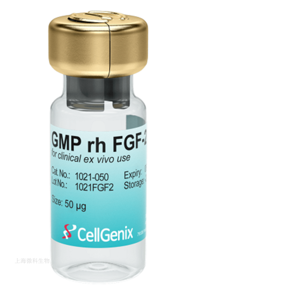 Cellgenix GMP级 rHu FGF-2