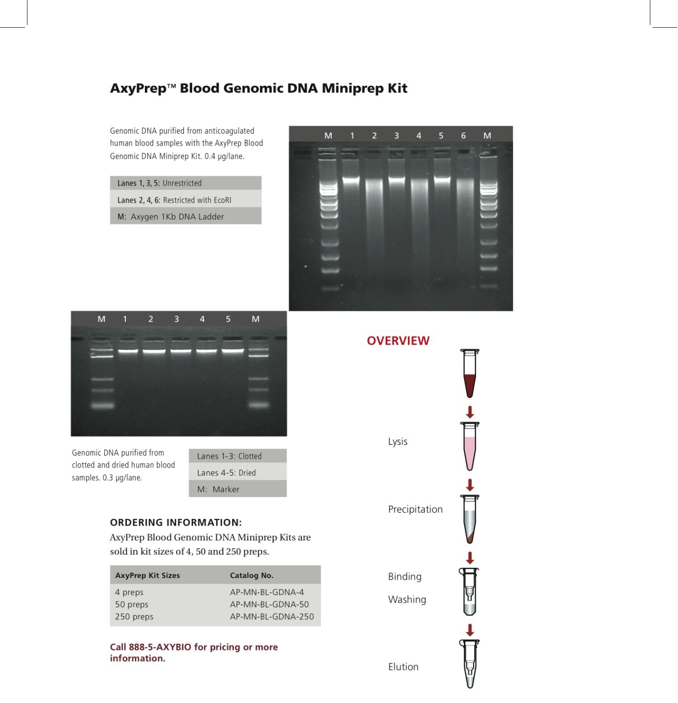 Axyprep Dna